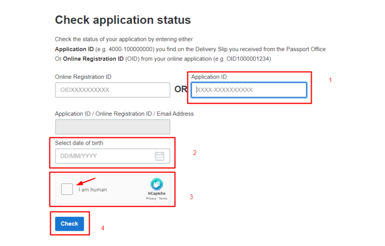 e passport check online process