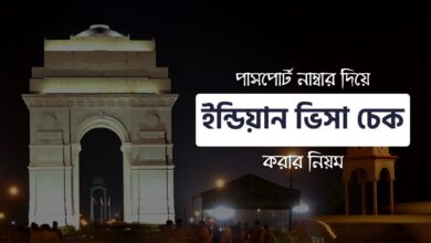 Indian Visa Check by Passport Number